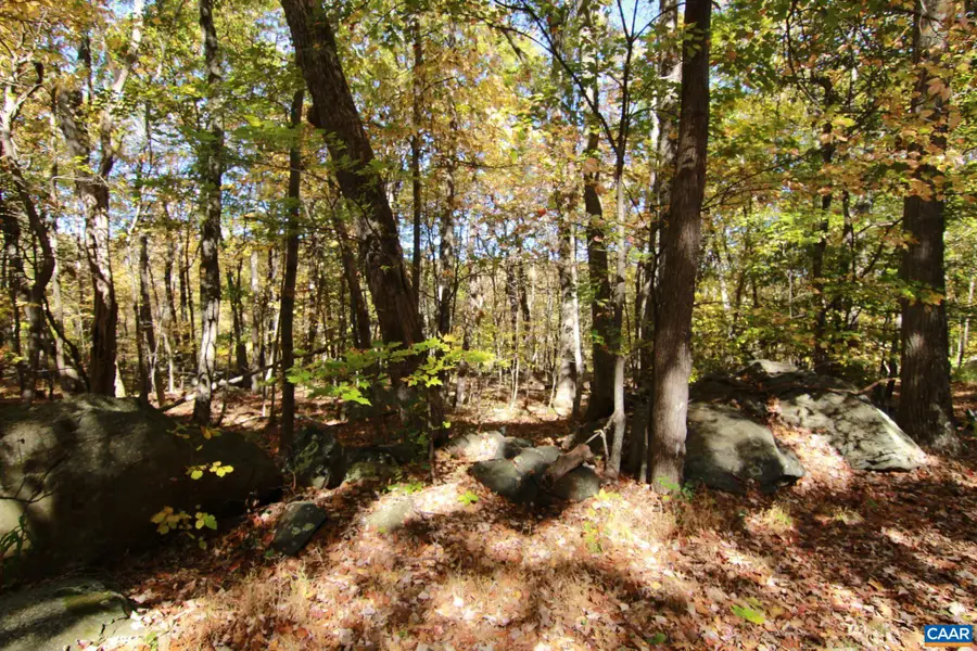 87 Deerberry Ln, Roseland, VA 22967 - #2