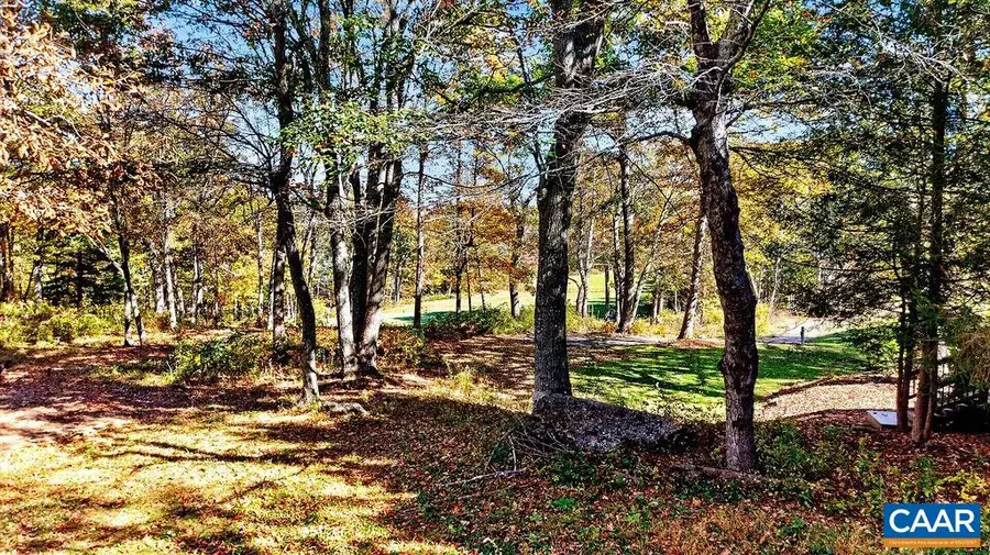56 Laurel Springs Dr, Wintergreen, VA 22967 - #3