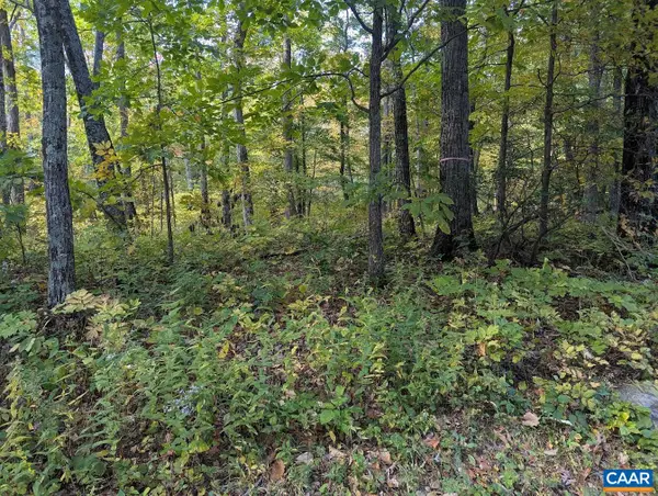 141 Gumtree Dr, Roseland, VA 22967