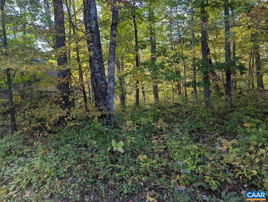 141 Gumtree Dr, Roseland, VA 22967 - #2