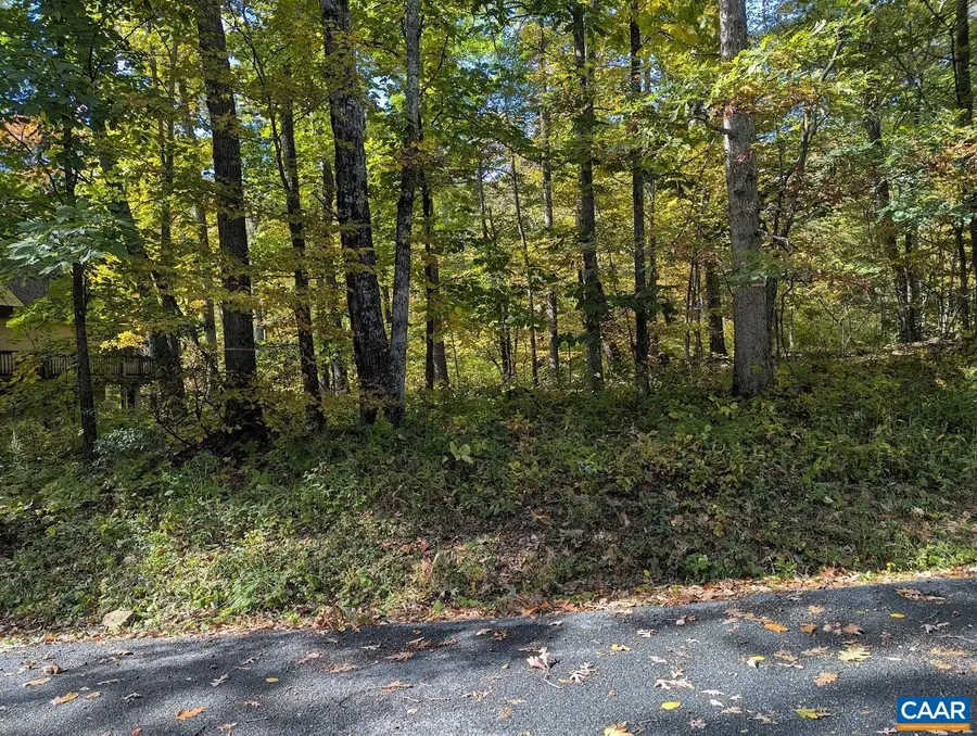 141 Gumtree Dr, Roseland, VA 22967 - #3