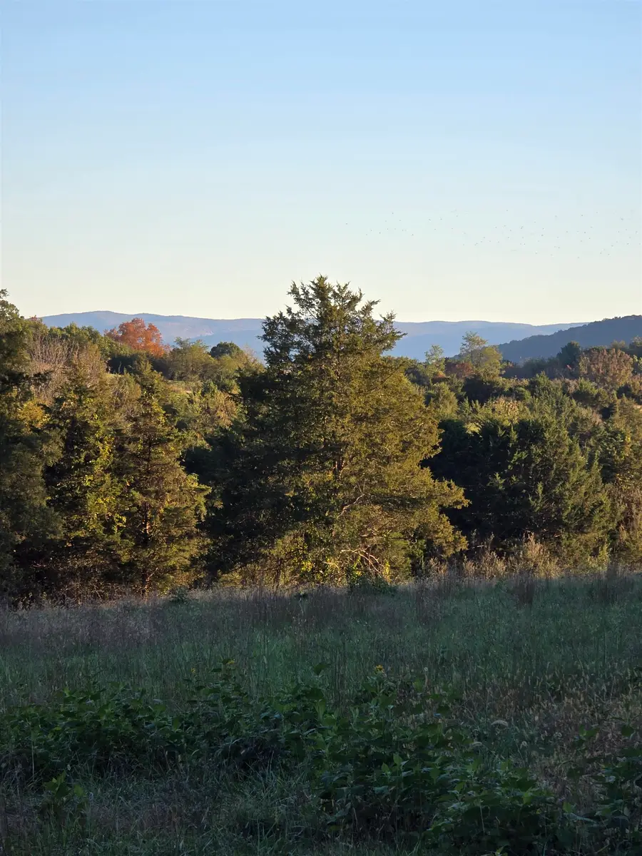Lot 3 17.83 ac. Berry Farm Rd, Staunton, VA 24401 - #3