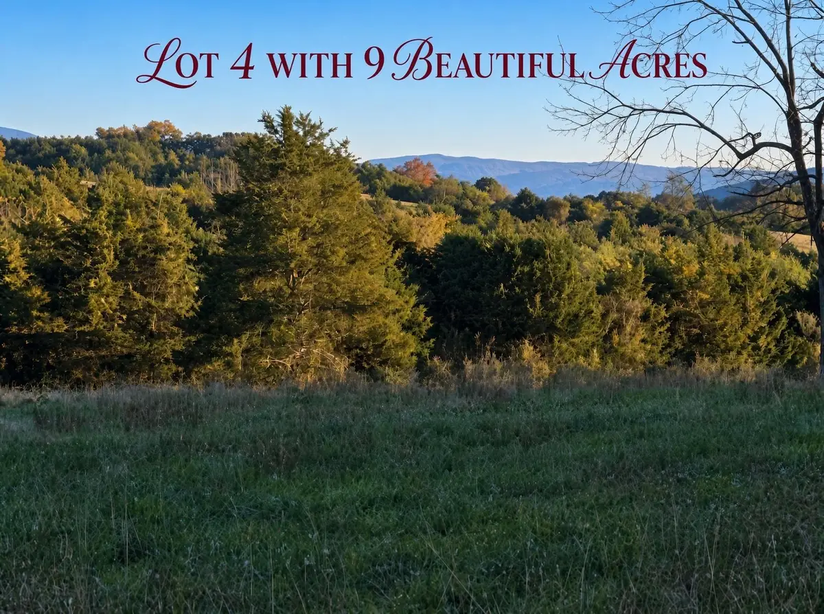 Lot 4  9acres Berry Farm Rd, Staunton, VA 24401 - #1