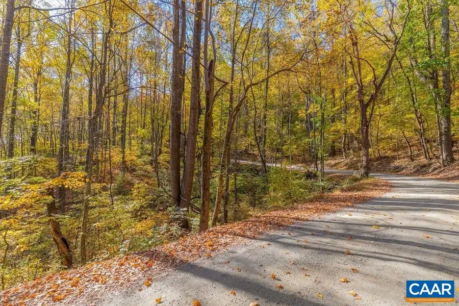 00 Wyatt Mountain Rd, Dyke, VA 22935 - #3