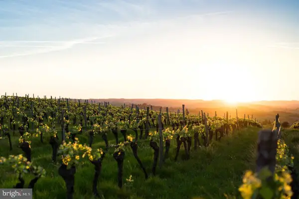 4500 Winery Ln, Barboursville, VA 22923