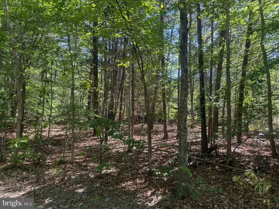 Sweetwater Way, Keswick, VA 22947 - #3
