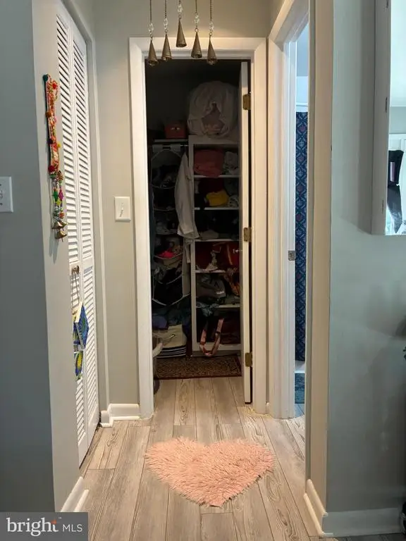 1243 Cedars Ct, Charlottesville, VA 22903 - #3