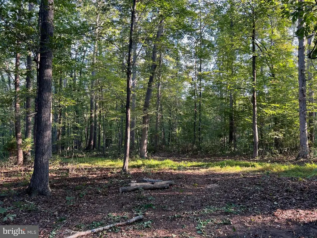 14285 Woods View Ln, Reva, VA 22735 - #1