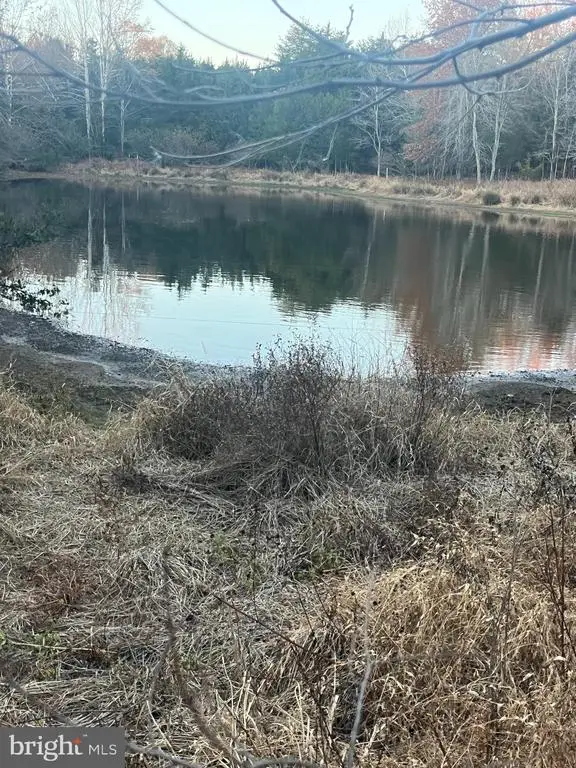 Mitchell Ford Rd, Lignum, VA 22726 - Image #3