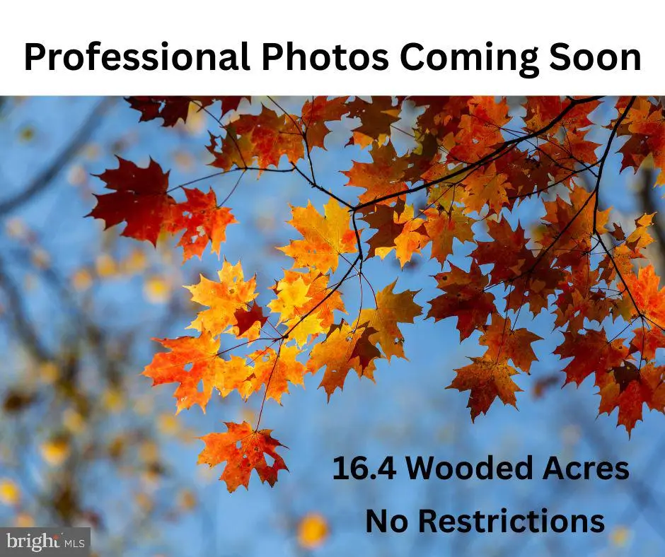 Tax Map 69 2b Eleys Ford Rd., Richardsville, VA 22736 - #1