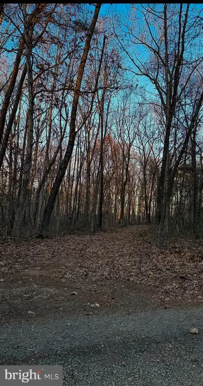 Roberts Lane Ln, Rixeyville, VA 22737