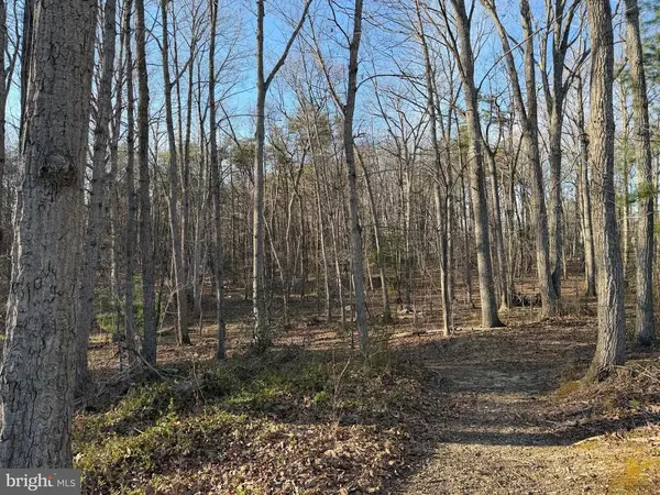 Woodland Church Rd, Culpeper, VA 22701