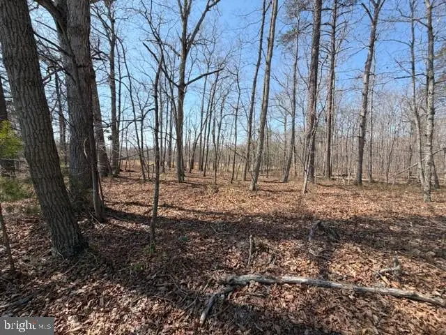 Countryside Lane - Lot 1, Lignum, VA 22726 - #2