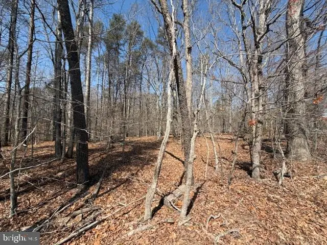 Countryside Lane - Lot 2, Lignum, VA 22726 - #1