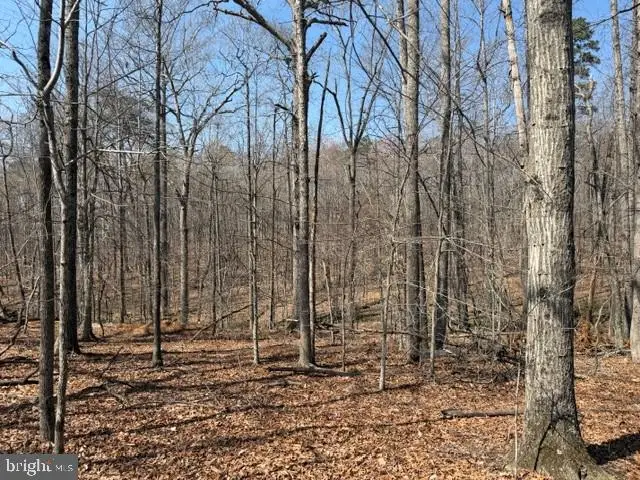 Countryside Lane - Lot 3, Lignum, VA 22726 - #1