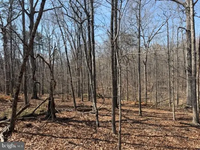 Countryside Lane - Lot 4, Lignum, VA 22726 - #1