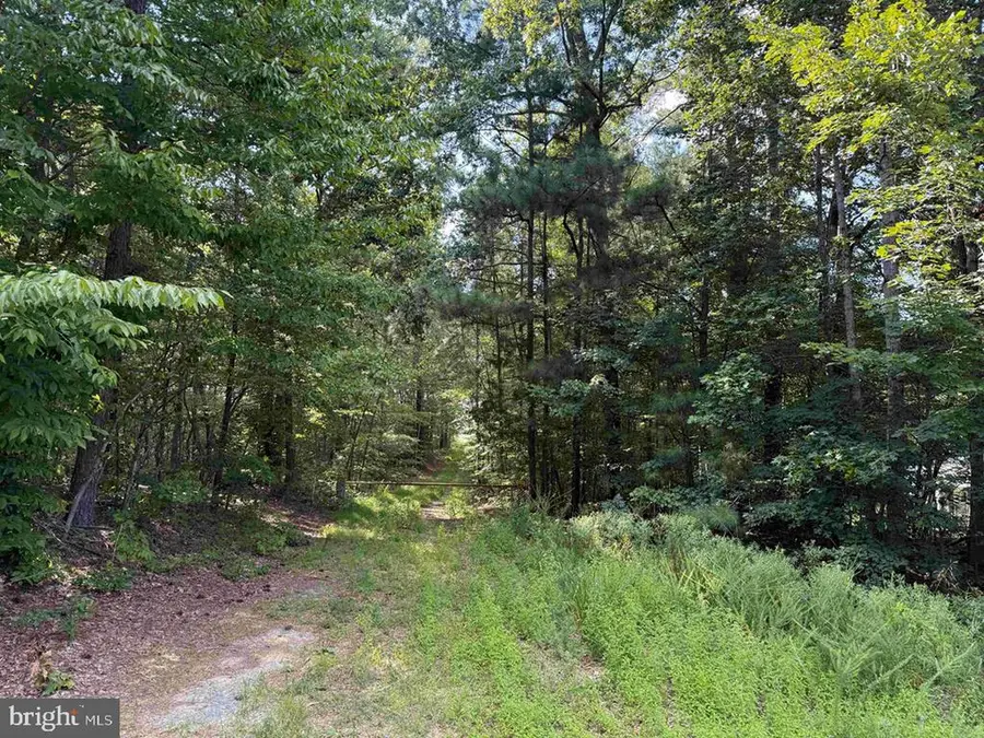Dogwood Drive (tract: Jr Bedford-bowles_sim-3), Columbia, VA 23038 - #3