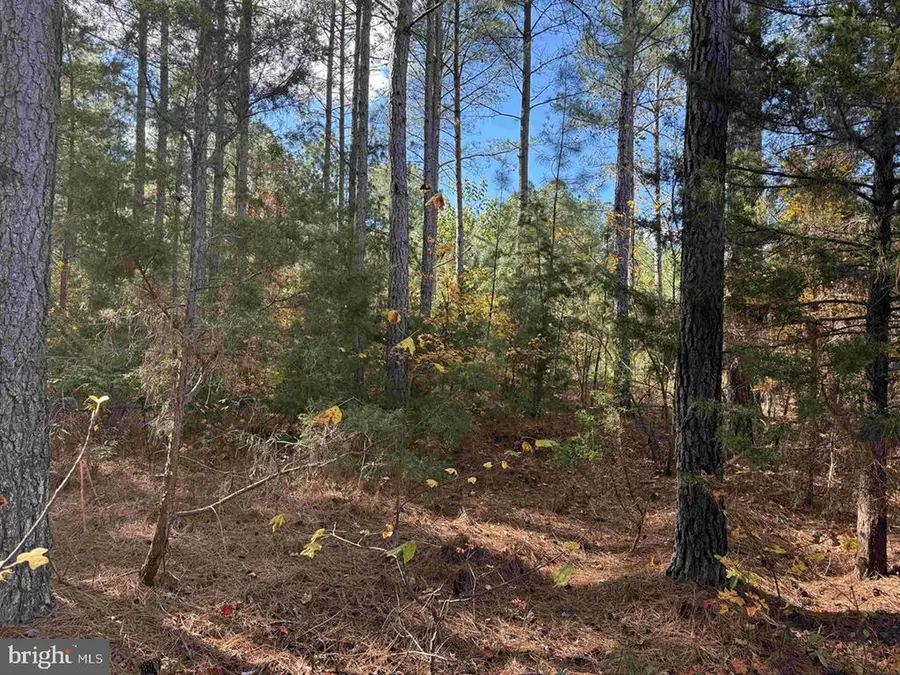 Off Of Shores Road (tract: Tanager Et2 2020), Scottsville, VA 24590 - #2
