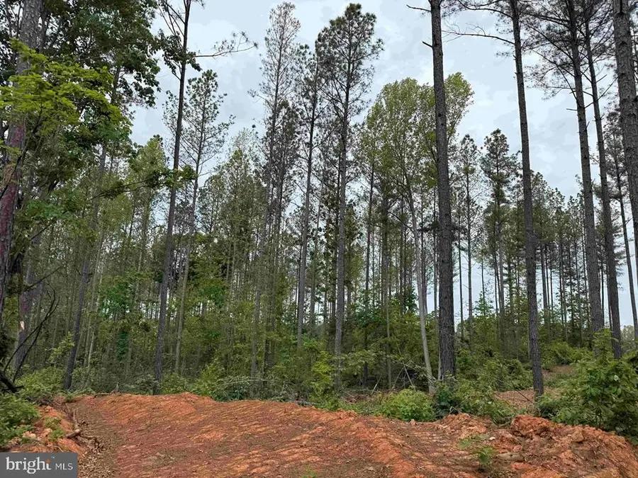 West River Road (tract: Jr Sadie Flanagan-2), Fork Union, VA 23055 - #2