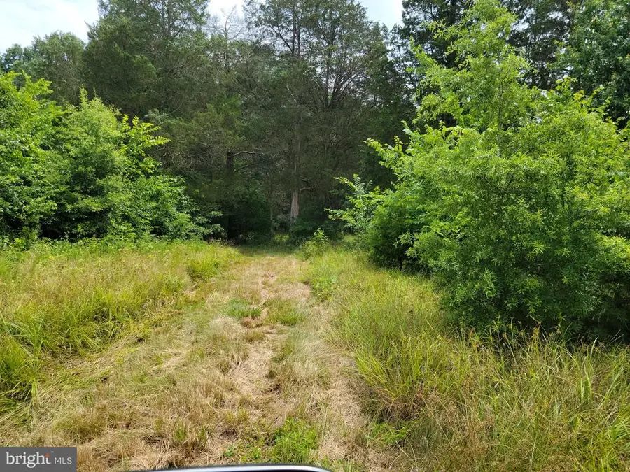 Unassigned, Midland, VA  - Image #2