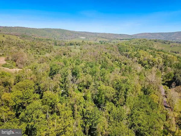 Blue Ridge - Leeds Manor Road, Delaplane, VA 