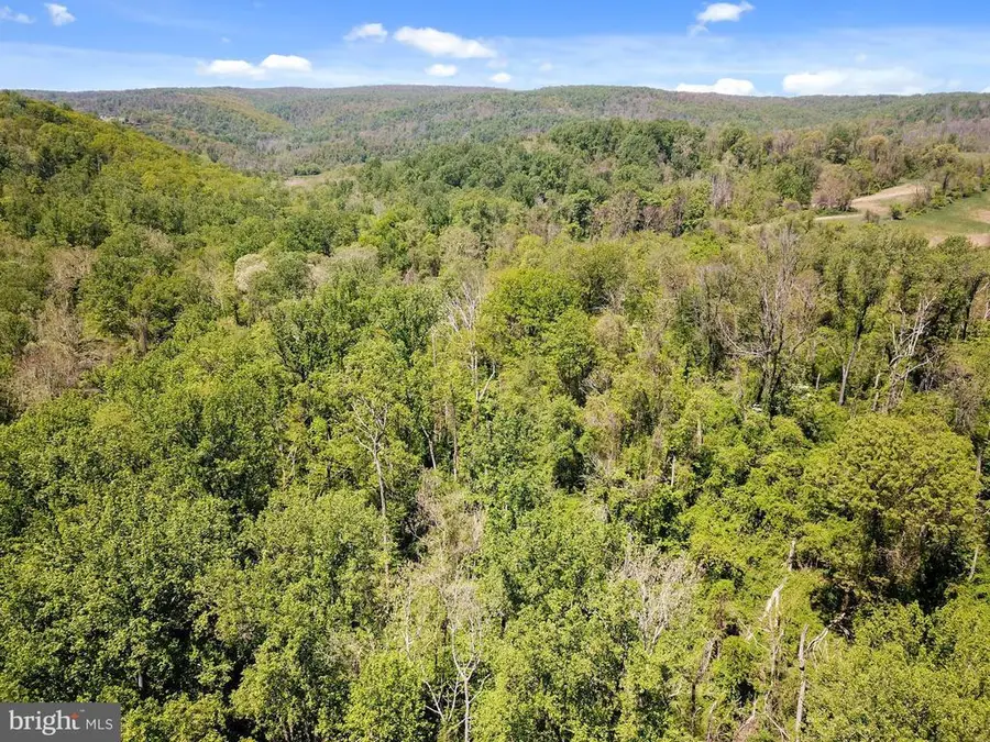 Blue Ridge - Leeds Manor Road, Delaplane, VA  - Image #2