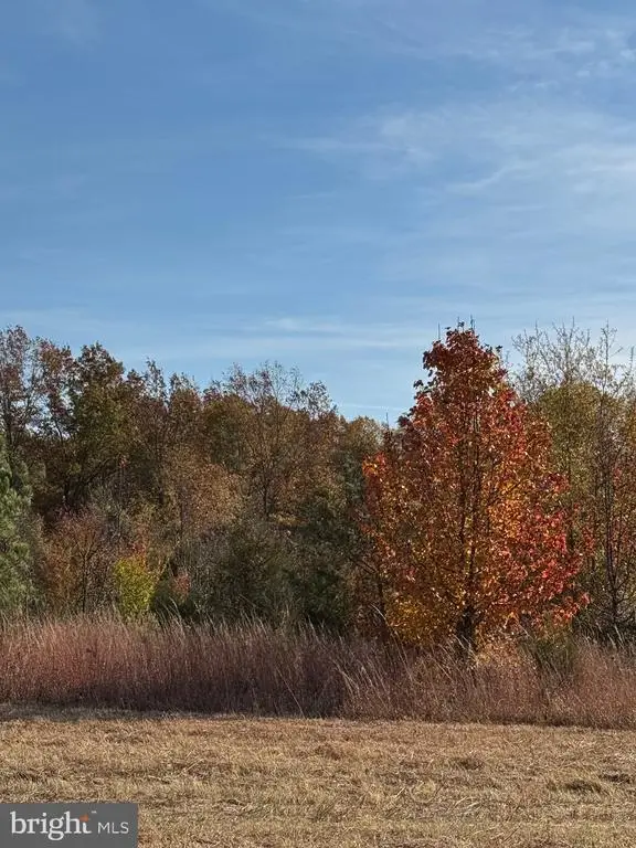 0 Baines Corner Road, Bealeton, VA 