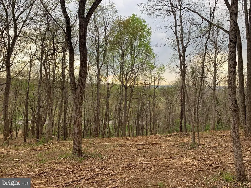 Winchester Road, Delaplane, VA  - Image #1