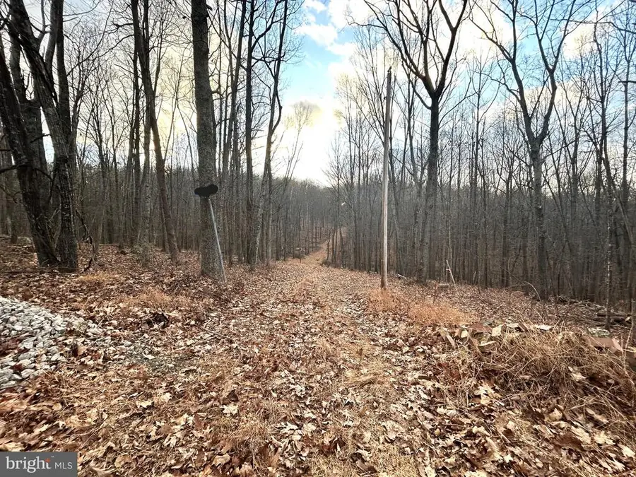 Snow Mountain Rd, Broad Run, VA  - Image #2