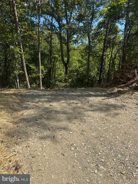 Cabin Branch Road, Marshall, VA 