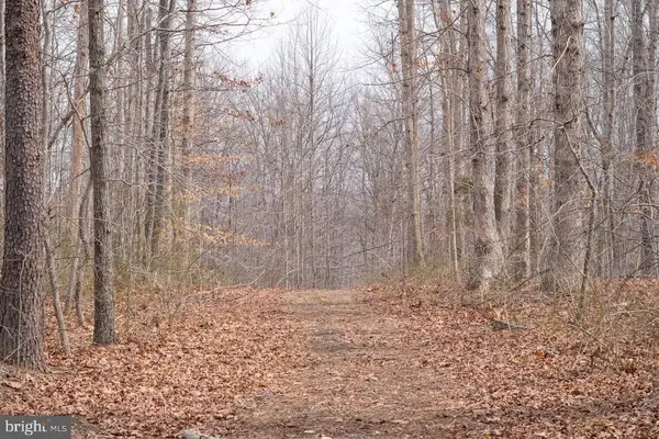 Deep Run Mill Road, Goldvein, VA 