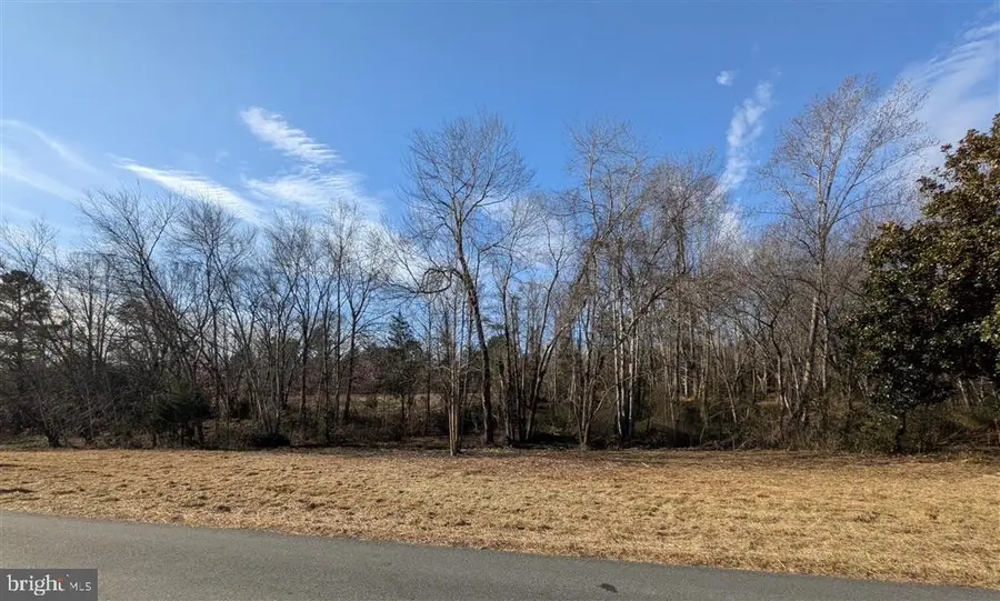 Ford Ave, Stanardsville, VA 22973 - #2