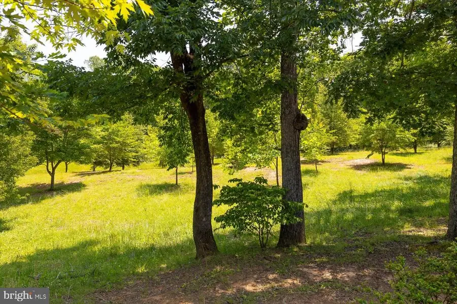 Peach Grove Road, Louisa, VA 23093 - #2