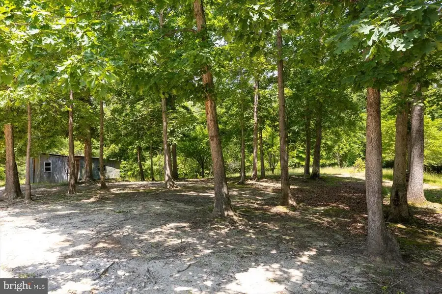 Peach Grove Road, Louisa, VA 23093 - #3