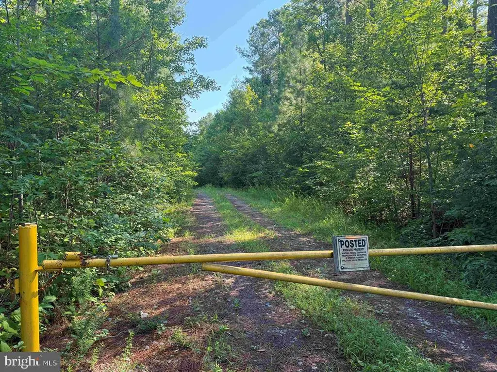 Bannister Town Road (tract Dtof Louisa), Louisa, VA 23093 - #1