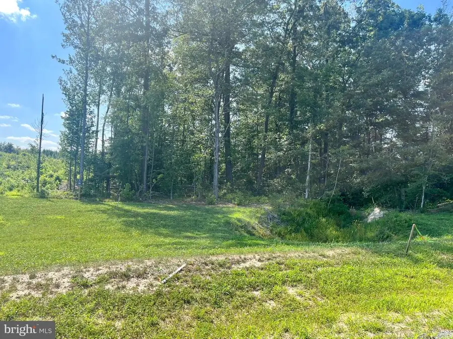 Buckners Lane, Mineral, VA 23117 - #3