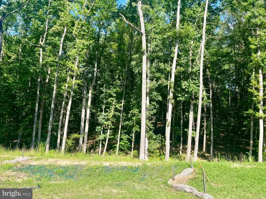 Southern Ridge, Mineral, VA 23117 - #2