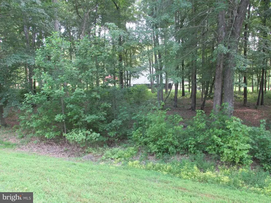 Blue Sky Way, Bumpass, VA 23024 - #2