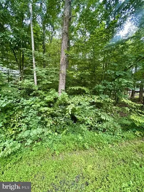 Lakeshore Dr N, Louisa, VA 23093 - Image #3