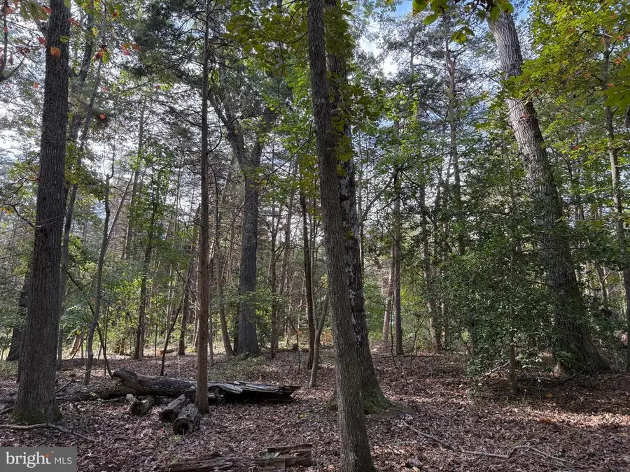 Turkey Trail, Mineral, VA 23117 - #3