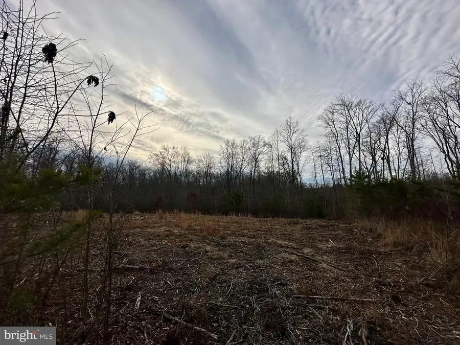 Belsches Rd, Bumpass, VA 23024 - #2