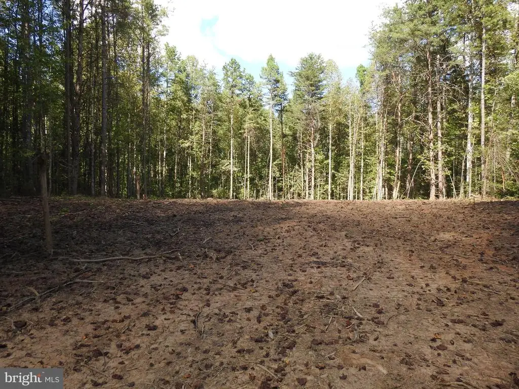 541 Equestrian Landing Trl, Bumpass, VA 23024 - #1