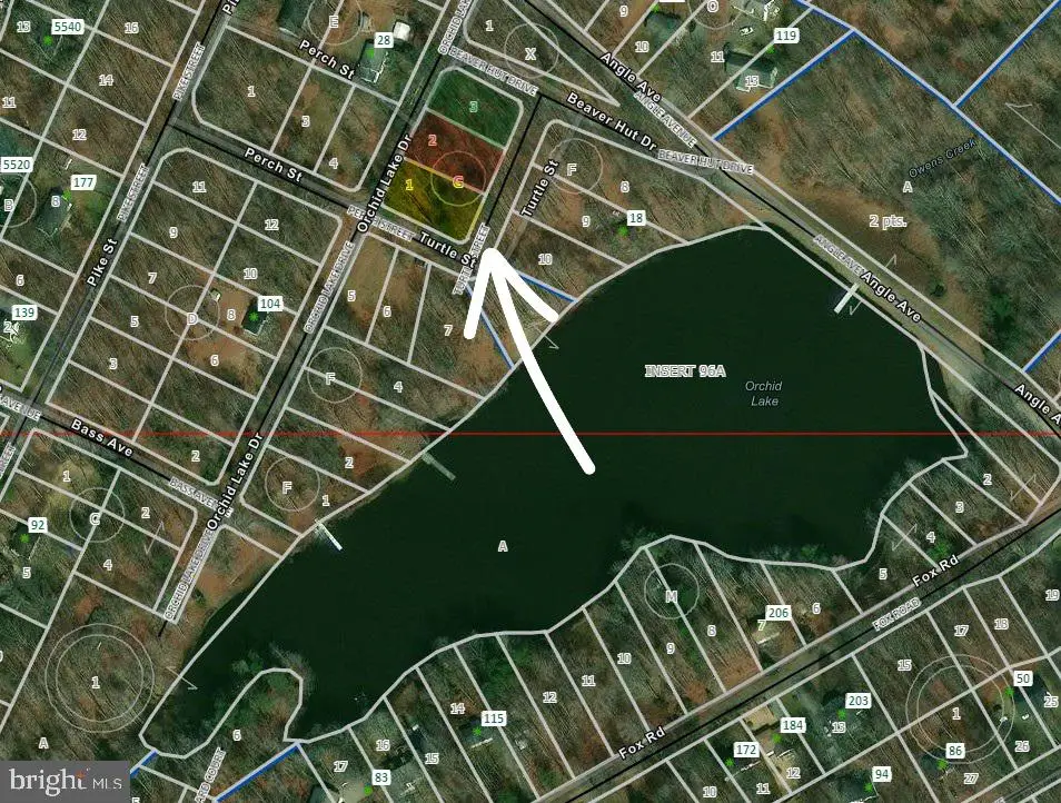 Orchid Lake Dr, Gum Spring, VA  - #1