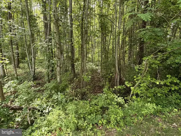 Overton Dr, Bumpass, VA 23024