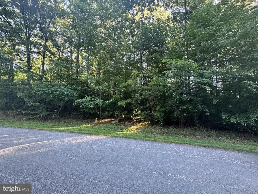 Oak Haven Dr, Mineral, VA 23117 - #2
