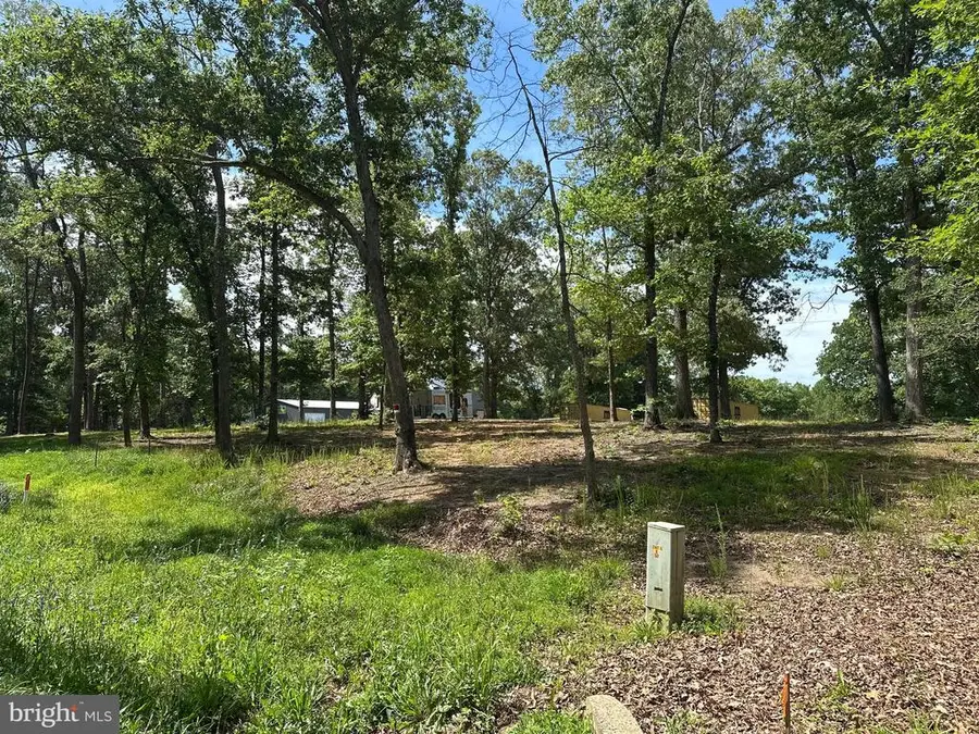 Kentucky Springs Rd, Mineral, VA 23117 - #2