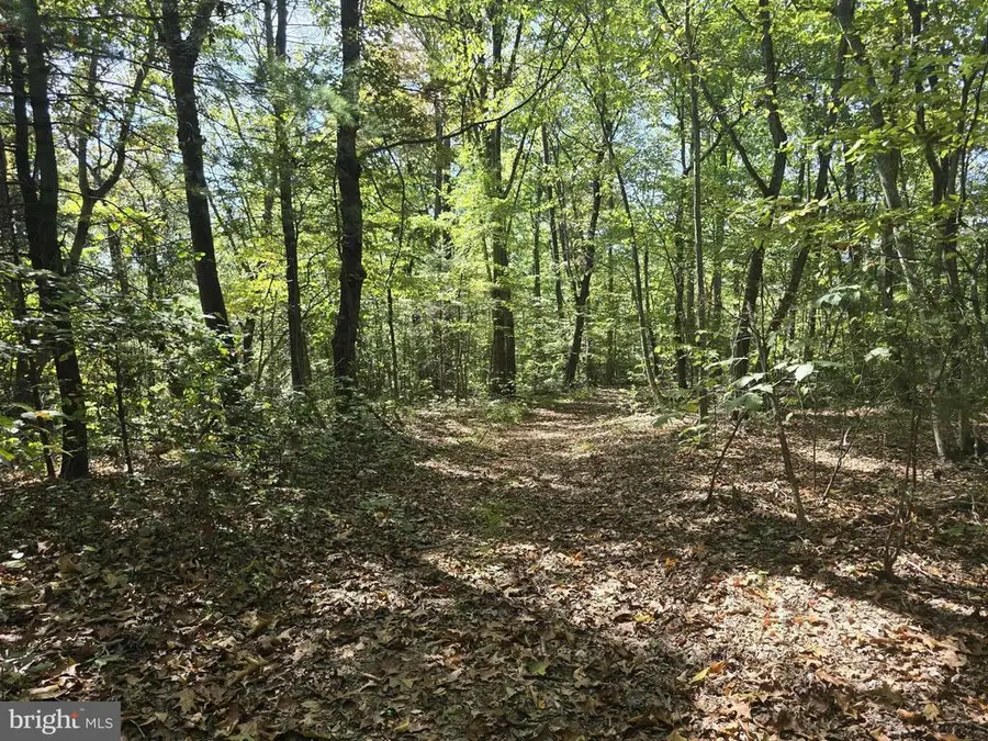 Hurt Hollow Rd, Banco, VA 22711 - #3