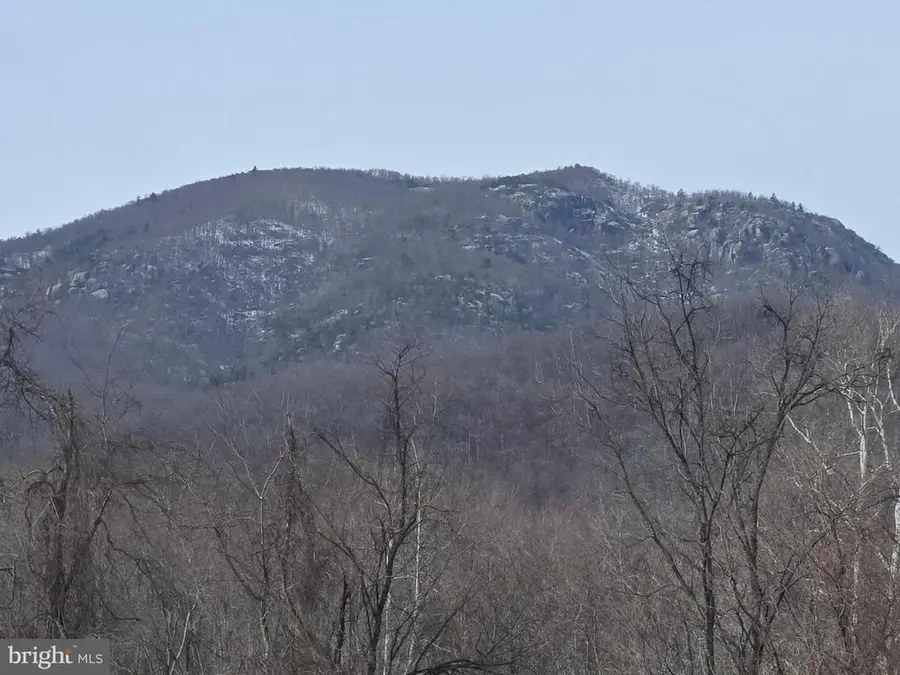 2996 Etlan Rd, Etlan, VA 22719 - #3