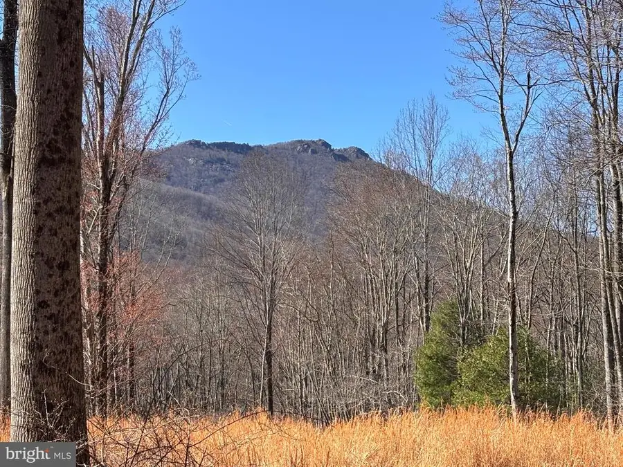 0 Pine Hill, Sperryville, VA 22740 - #2