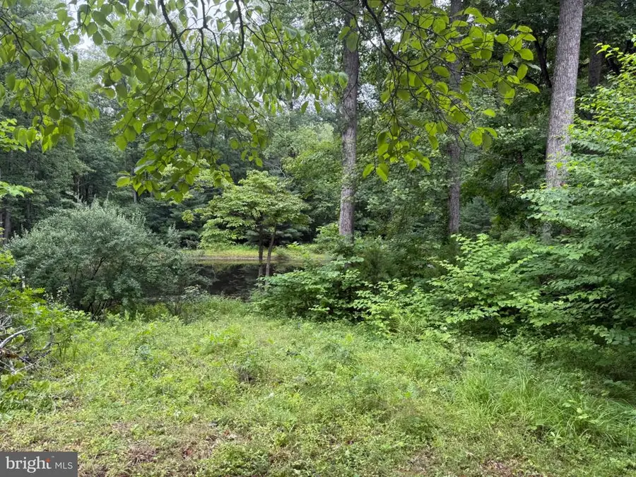 Hoover Rd W, Reva, VA 22735 - #3